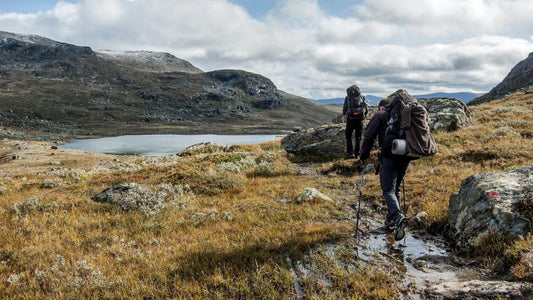 Brews for Every Backpack: Exploring the Range of Portable Coffee Solutions